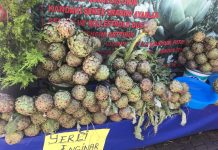 Enginar Karaciğer İlacıdır Enginar Karaciğer İlacıdır