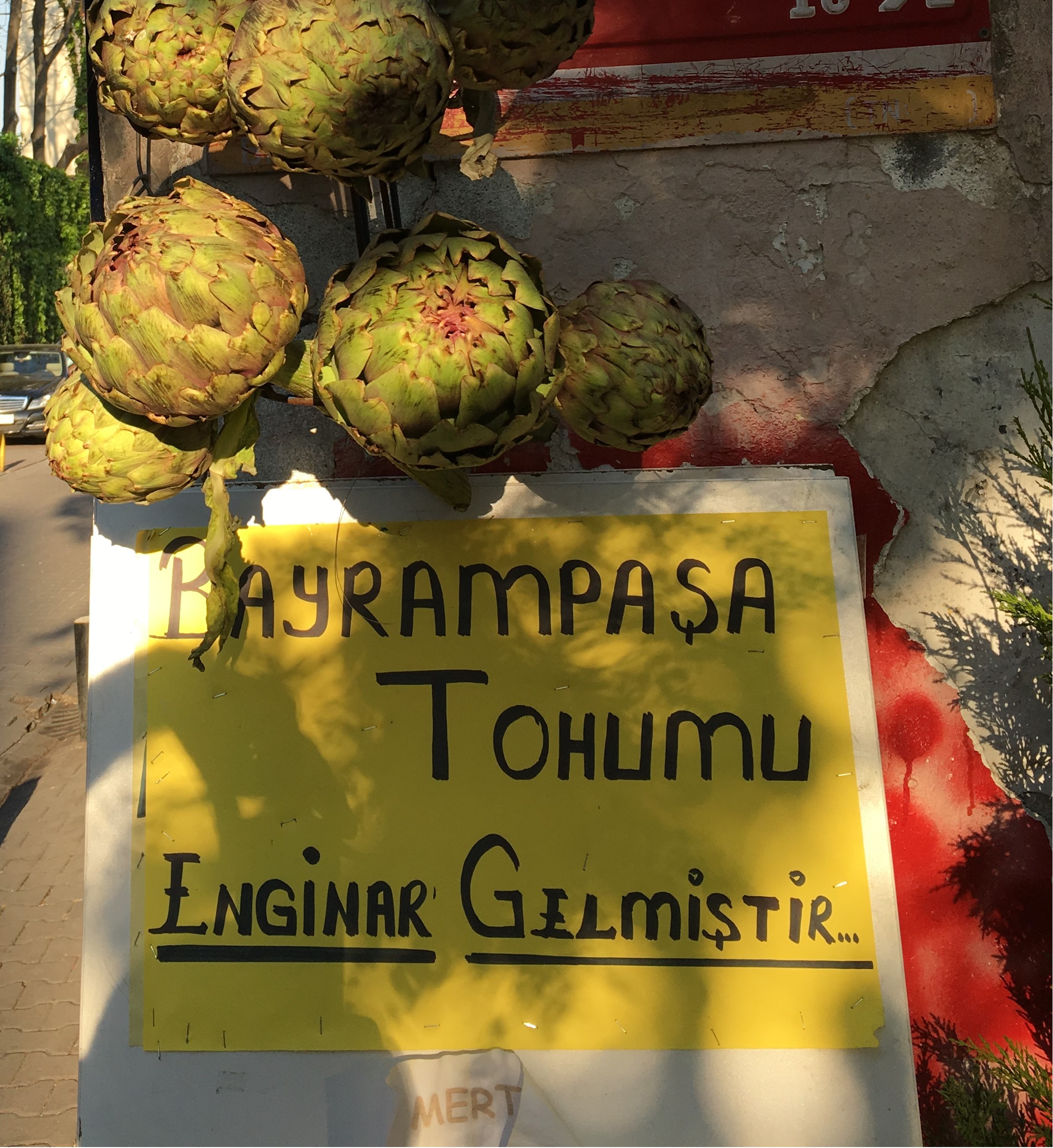 Artichoke Benefits