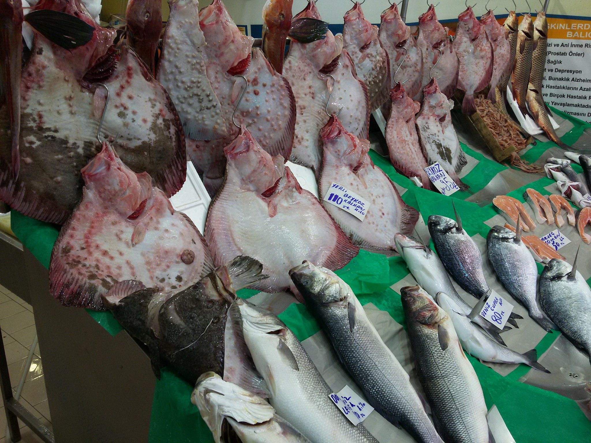 Kalkan balığı faydaları