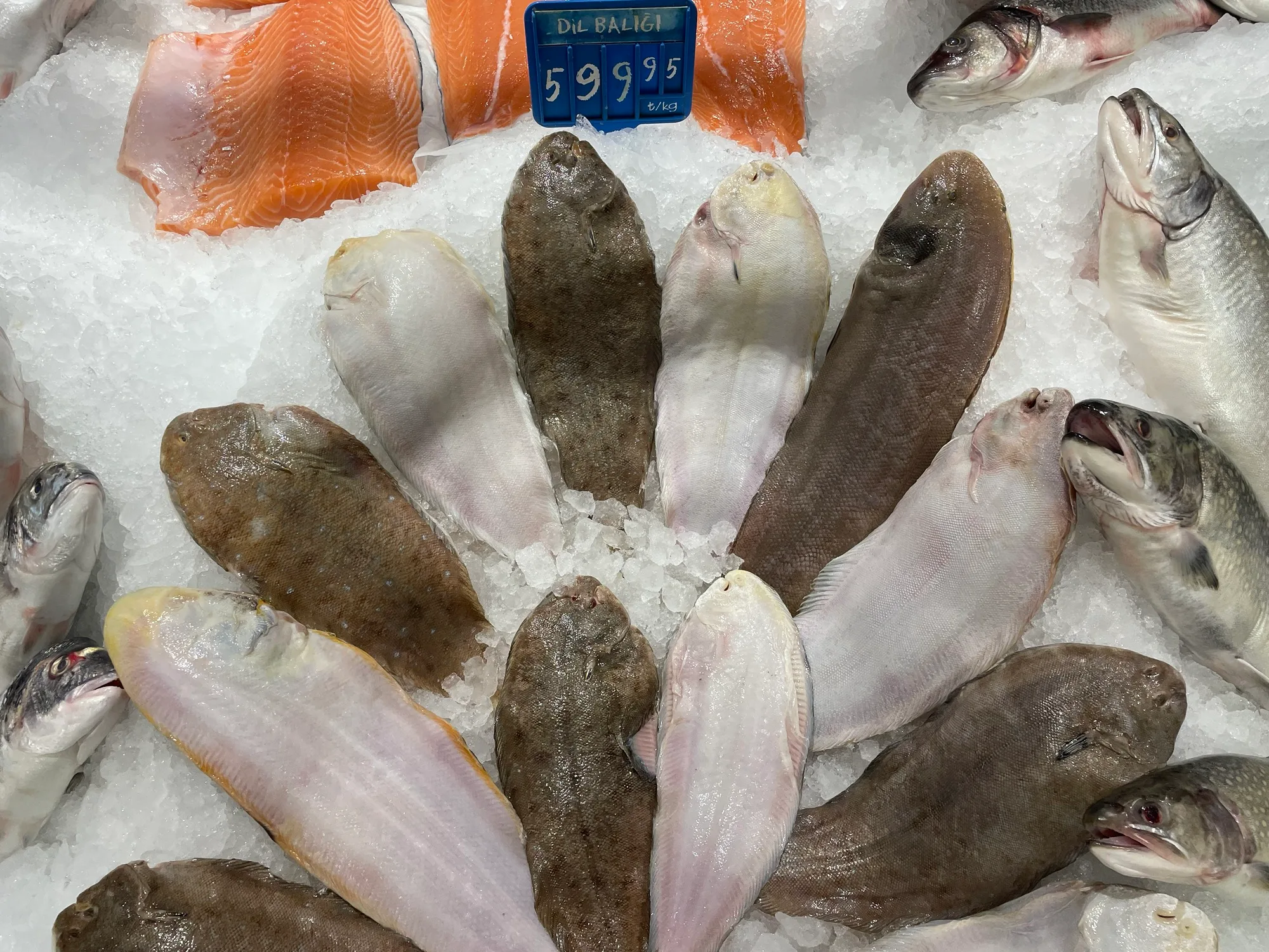 Dil balığı faydaları