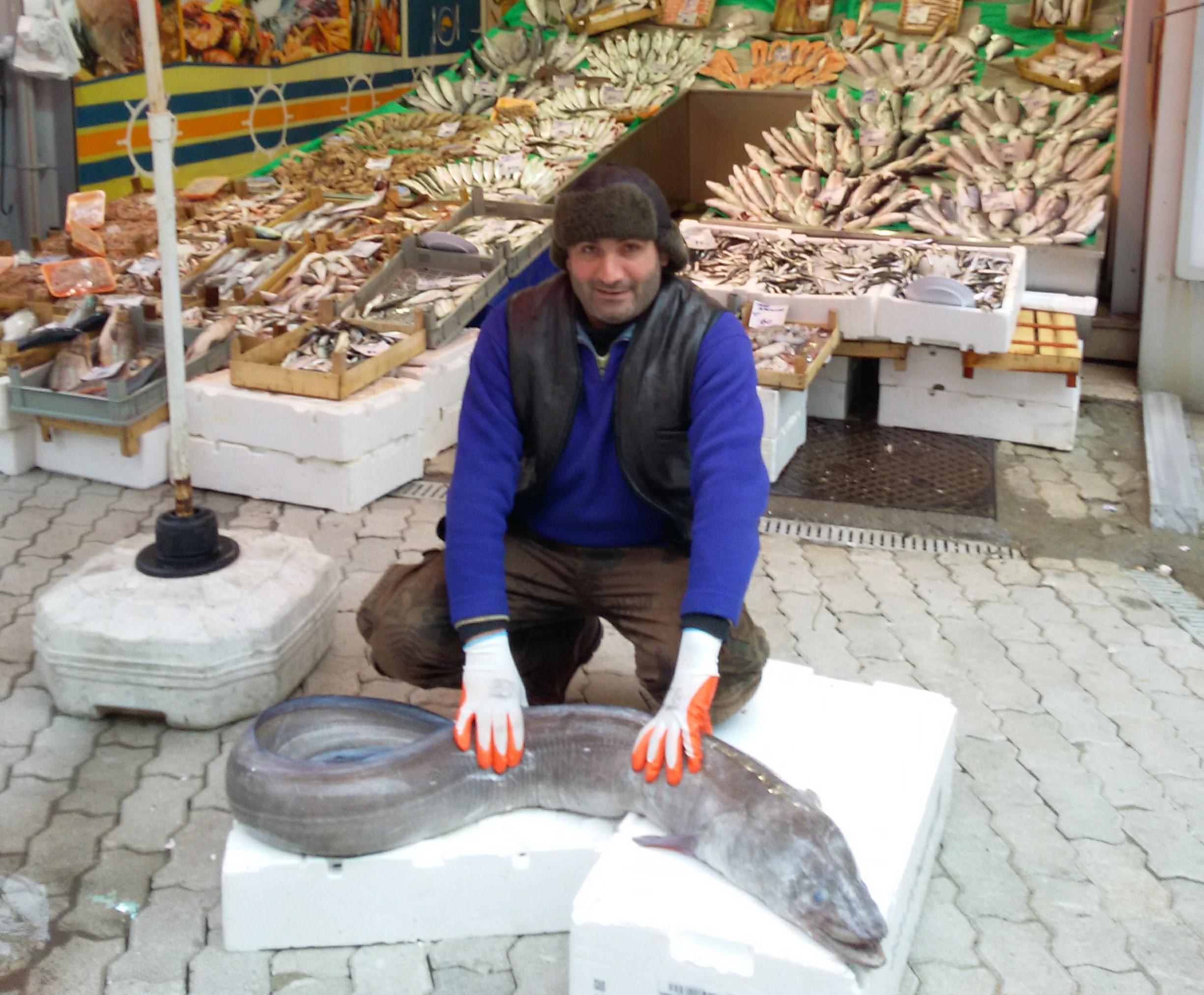 Müren Balığı Faydaları Ve Özelliği Müren Balığı Faydaları Ve Özelliği