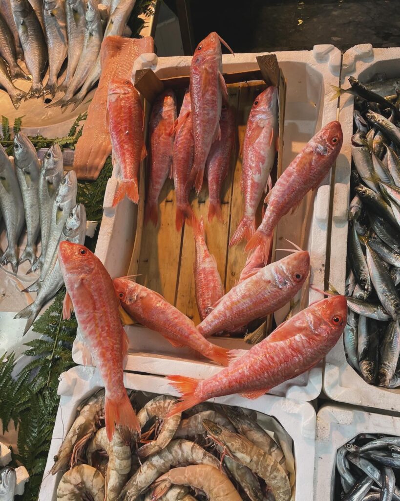 Kaya Barbun Balığı Faydaları