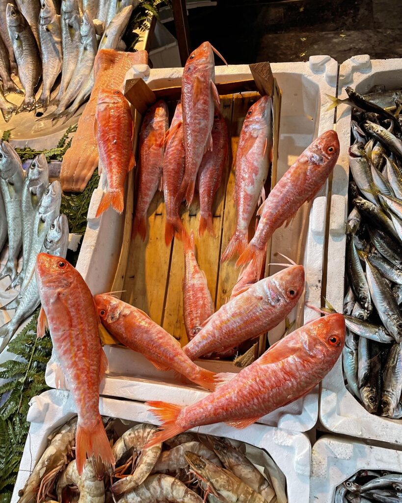 Kaya Barbun Balığı Faydaları