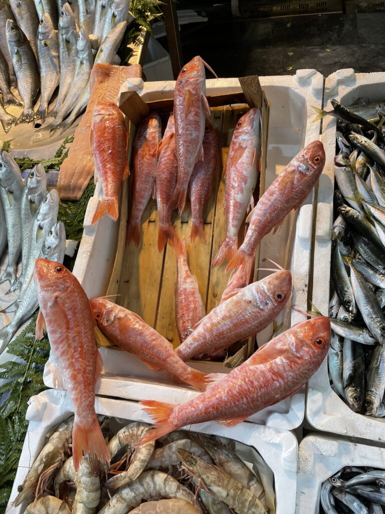 Kaya Barbun Balığı Faydaları