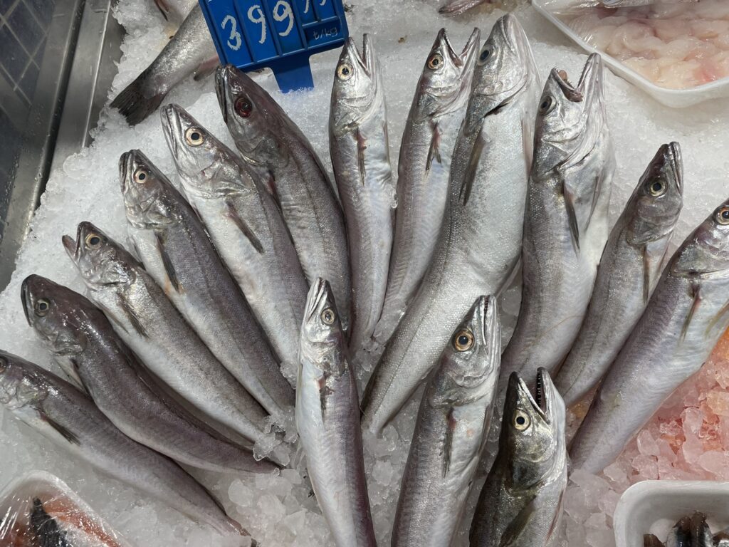 Tavuk Balığı Faydaları