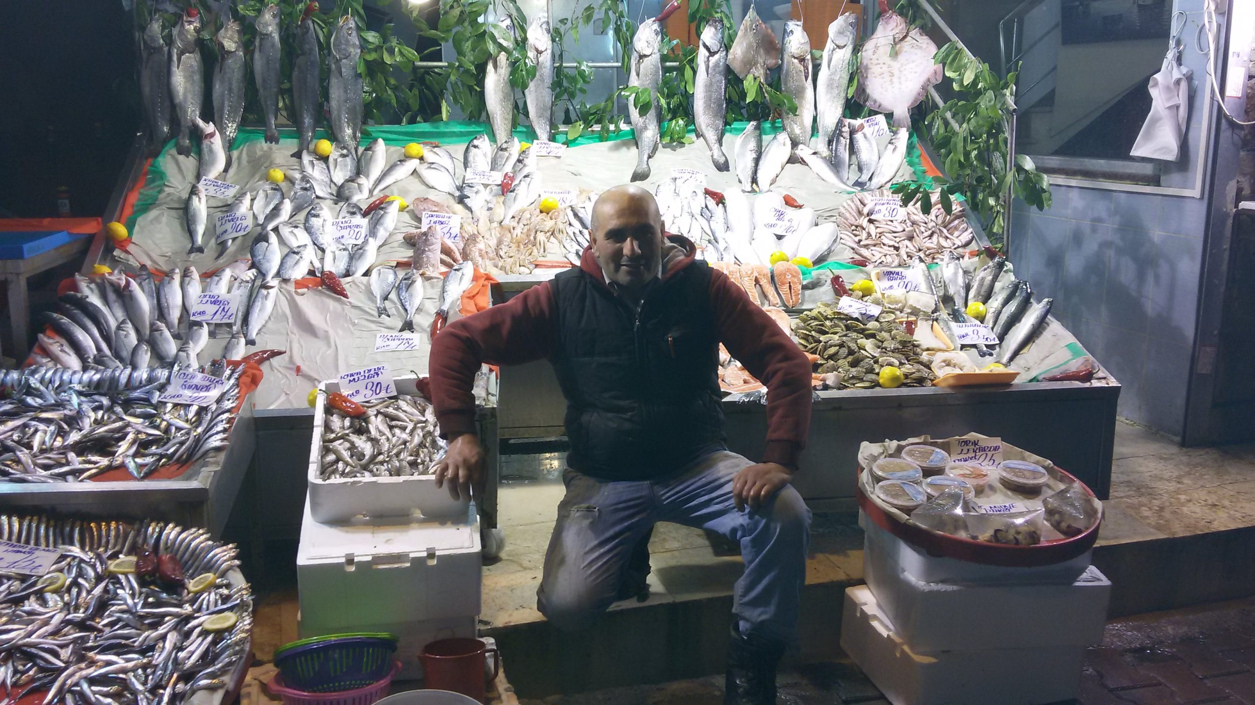 Türkiye Denizleri Balık Çeşitliliği İstatistikleri