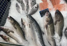 Deniz Levreği Faydaları Ve Özelliği Deniz Levreği Faydaları Ve Özelliği