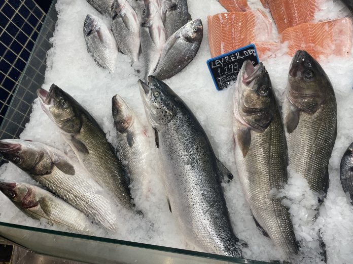 Deniz Levreği Faydaları Ve Özelliği