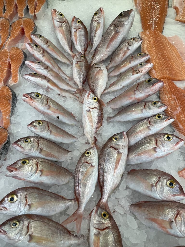 Türkiye Denizleri Balık Çeşitliliği İstatistikleri