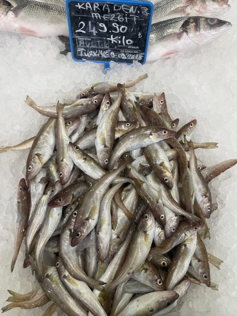 Mezgit Balığı Faydaları 