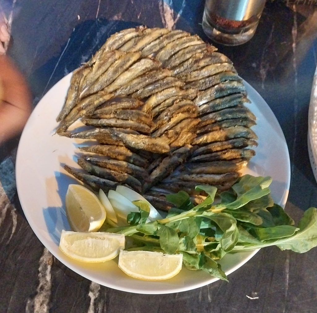 Hamsi Balığı Faydaları