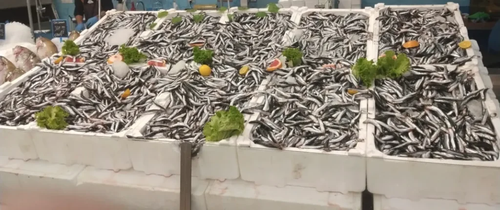 Hamsi Balığı Faydaları