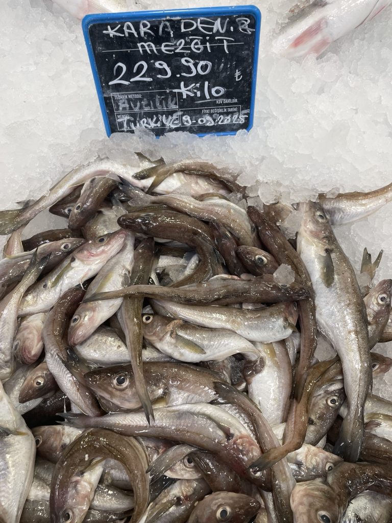 Mezgit Balığı Faydaları