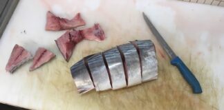 Lekarda Hangi Balıktan Yapılır